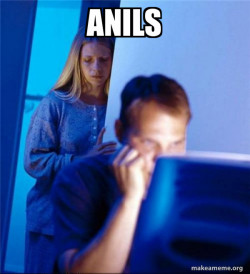 Redditors Wife