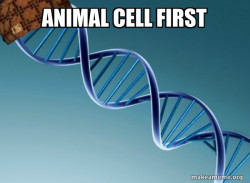 Scumbag Genetics