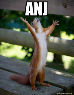 Happy Squirrel