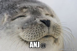 Satisfied Seal