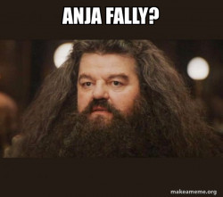 Hagrid - I should not have said that