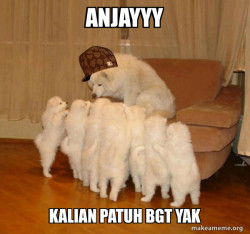 Scumbag Storytelling Dog
