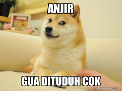Doge