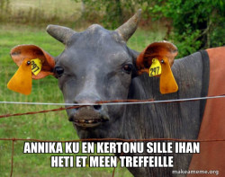 Hairless Cow