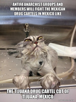 Antifa Anarchist Groups and Members will fight the Mexican Drug Cartels in Mexico like  the Tijuana Drug Cartel CDT of Tijuana, Mexico