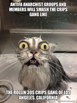 Antifa Anarchist groups and members will smash the Crips Gang like the Rollin 30s Crips Gang of Los Angeles, California