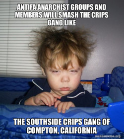 Antifa Anarchist groups and members will smash the Crips Gang like the Southside Crips Gang of Compton, California