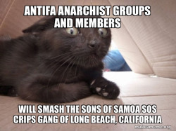 Antifa Anarchist groups and members will smash the Sons of Samoa SOS Crips Gang of Long Beach, California