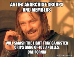Antifa Anarchist groups and members will smash the Eight Tray Gangster Crips Gang of Los Angeles, California