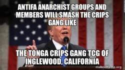 Antifa Anarchist groups and members will smash the Crips Gang like the Tonga Crips Gang TCG of Inglewood, California