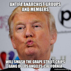 Antifa Anarchist groups and members will smash the Grape Street Crips Gang of Los Angeles, California