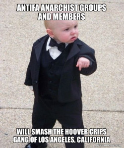 Antifa Anarchist groups and members will smash the Hoover Crips Gang of Los Angeles, California