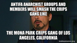 Antifa Anarchist groups and members will smash the Crips Gang like the Mona Park Crips Gang of Los Angeles, California