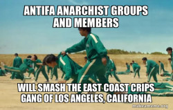 Antifa Anarchist groups and members will smash the East Coast Crips Gang of Los Angeles, California