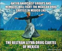 Antifa Anarchist Groups and Members will fight the Mexican Drug Cartels in Mexico like  the Beltran Leyva Drug Cartel of Mexico