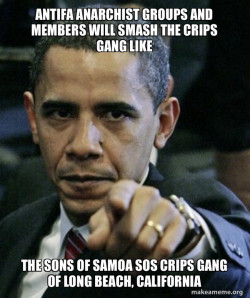 Antifa Anarchist groups and members will smash the Crips Gang like  the Sons of Samoa SOS Crips Gang of Long Beach, California
