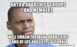 Antifa Anarchist groups and members will smash the Mona Park Crips Gang of Los Angeles, California