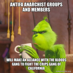 Antifa Anarchist groups and members will make an alliance with the Bloods Gang to fight the Crips Gang of California