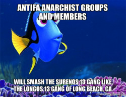 Antifa Anarchist groups and members will smash the Surenos 13 Gang like the Longos 13 Gang of Long Beach, CA