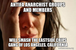 Antifa Anarchist groups and members will smash the Eastside Crips Gang of Los Angeles, California 