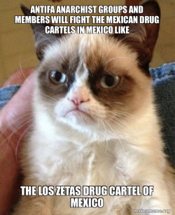 Antifa Anarchist Groups and Members will fight the Mexican Drug Cartels in Mexico like  the Los Zetas Drug Cartel of Mexico