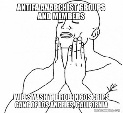 Antifa Anarchist groups and members will smash the Rollin 60s Crips Gang of Los Angeles, California