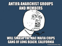 Antifa Anarchist groups and members will smash the Mac Mafia Crips Gang of Long Beach, California