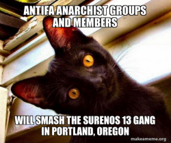 Antifa Anarchist groups and members will smash the Surenos 13 Gang in Portland, Oregon