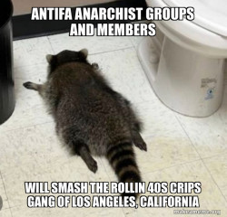 Antifa Anarchist groups and members will smash the Rollin 40s Crips Gang of Los Angeles, California