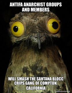 Antifa Anarchist groups and members will smash the Santana Blocc Crips Gang of Compton, California
