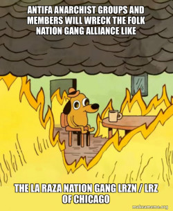 Antifa Anarchist groups and members will wreck the Folk Nation Gang Alliance like the La Raza Nation Gang LRzN / LRZ of Chicago