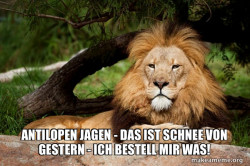 Contemplative Lion