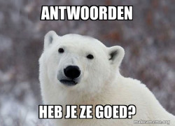 Popular Opinion Polar Bear