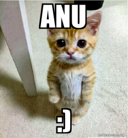 Cute Cat Standing