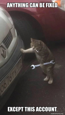 Mechanic Cat