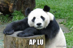 Confession Panda