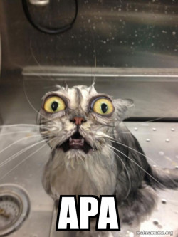 Cat bath
