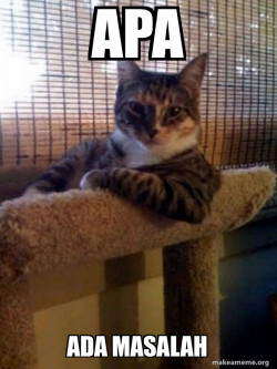 The Most Interesting Cat in the World