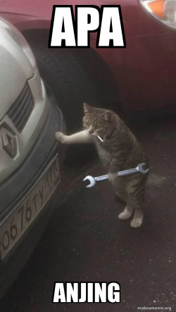 Mechanic Cat