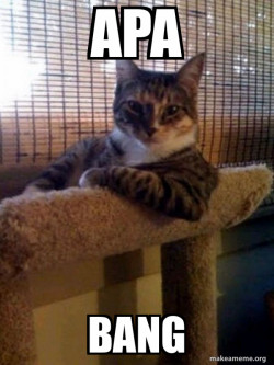 The Most Interesting Cat in the World