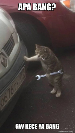 Mechanic Cat