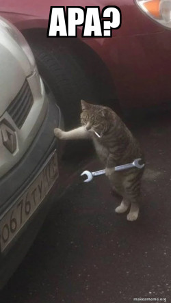 Mechanic Cat