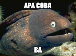 Bad Joke Eel