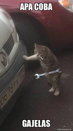Mechanic Cat