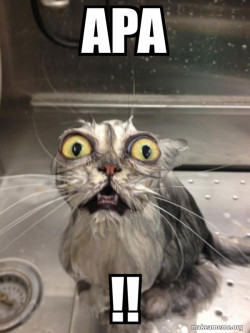 Cat bath