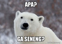 Popular Opinion Polar Bear