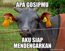 Hairless Cow
