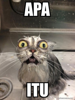 Cat bath