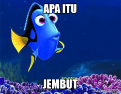 Dory from Nemo  (5 second memory)