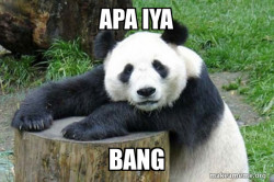Confession Panda